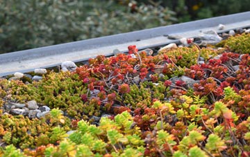 the cost of Kilmington Common green roof installation