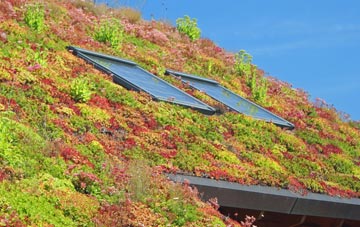 Kilmington Common living roof systems