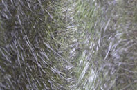 Kilmington Common fibreglass roof work