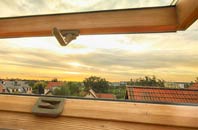 rated Kilmington Common roof window companies